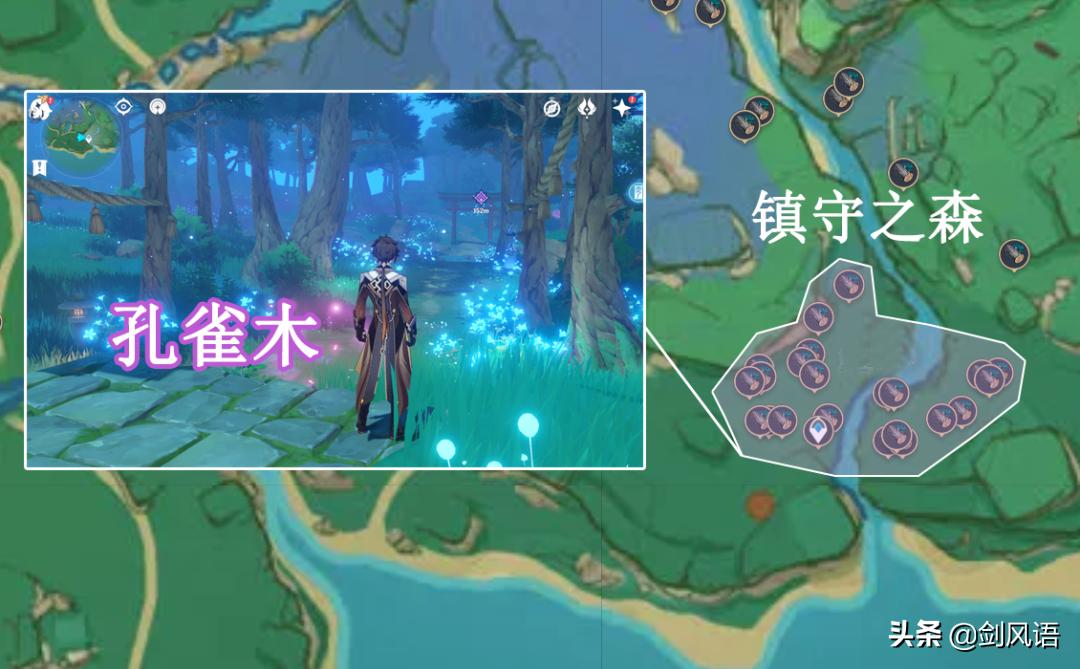 原神镇守之森破除结界,荒海镇守之森树根位置