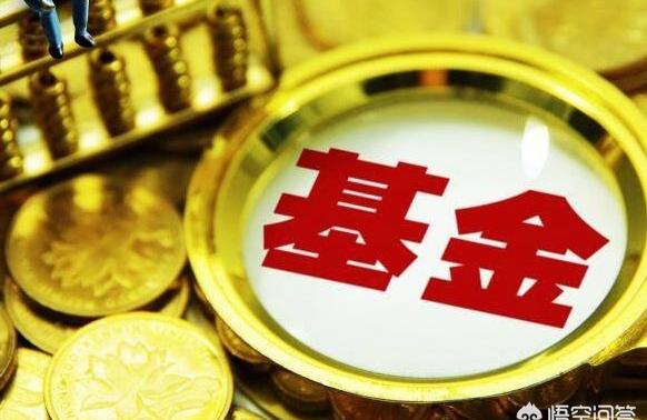 第一基金网,国内有哪些比较好的基金网站