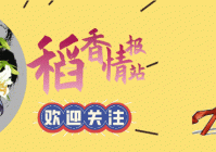 剑网三竞技场优先击杀的是哪个门派？着重点名奶妈，属实惨！