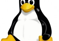 个流畅的 Linux 发行版，适合沮丧的 Windows 11 游戏玩家