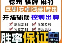 必备辅助“hhpoker透视挂作弊挂开挂”详细教程