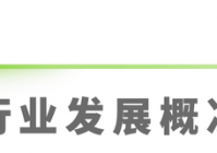 2025年中国电竞行业研究报告