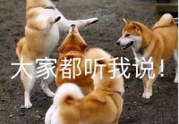 曾经统治了互联网的MMORPG游戏，怎么就落寞了？