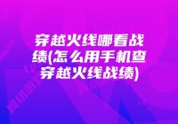 掌上穿越火线怎么看挑战的记录