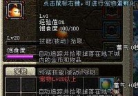 DNF宠物刷图排行榜 国服所有宠物实力大全