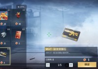 穿越火线枪战王者 官方运营团队