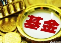 第一基金网,国内有哪些比较好的基金网站