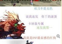 DNF里你玩儿的职业被人称为什么？