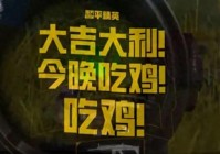 点亮全国!《和平精英》又一次让「吃鸡」成了爆款流行词