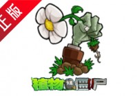 植物大战僵尸  中文最新版