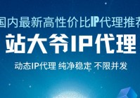 动态IP代理平台哪个好？国内最新高性价比IP代理推荐站大爷