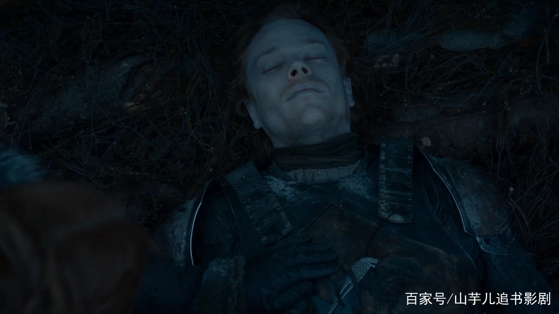 维斯特洛大陆家族成员结局_权力的游戏人物命运_史塔克家族成员命运