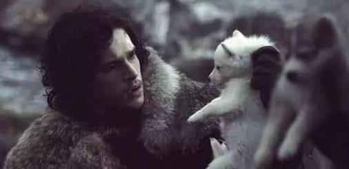 权利的游戏史塔克家族最终结局_权力的游戏 冰原狼 史塔克家族