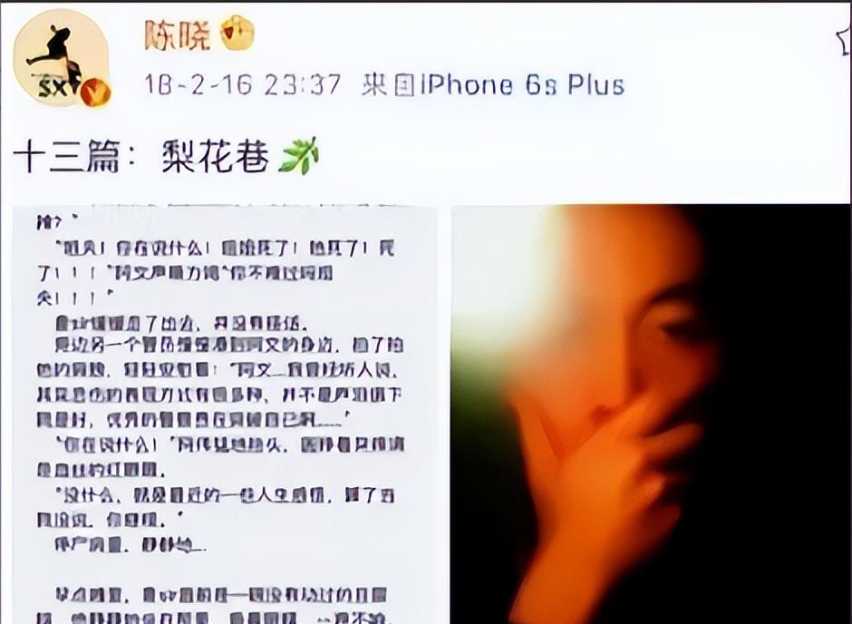 陈晓陈妍希婚变内幕_橙光游戏陈晓赵丽颖_陈晓刘亦菲梦华录恩怨