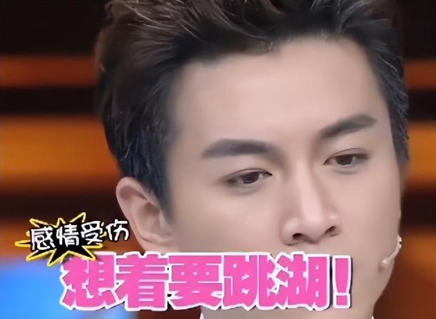 橙光游戏陈晓赵丽颖_陈晓刘亦菲梦华录恩怨_陈晓陈妍希婚变内幕