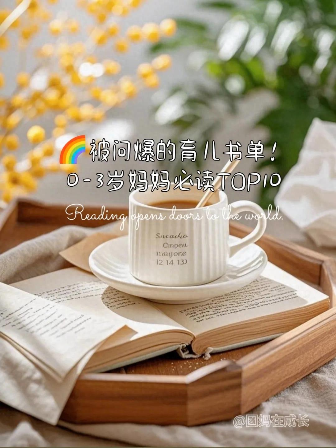 全职宝妈育儿书单_早教游戏0-3岁_新手妈妈推荐书籍