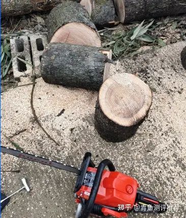 电锯选购指南_性价比高的电锯推荐_电锯杀僵尸的游戏