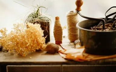 培养孩子自制力游戏_运动性游戏提高孩子自制力_训练自制力的游戏