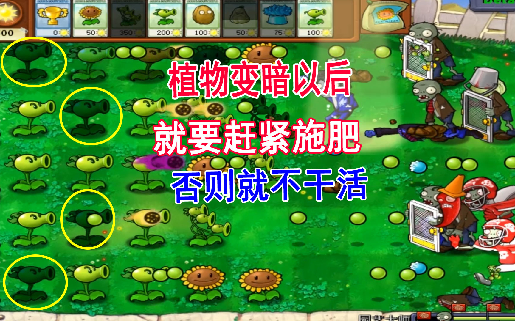 植物大战僵尸318：隐藏小游戏园艺师，不施肥的话植物就罢工