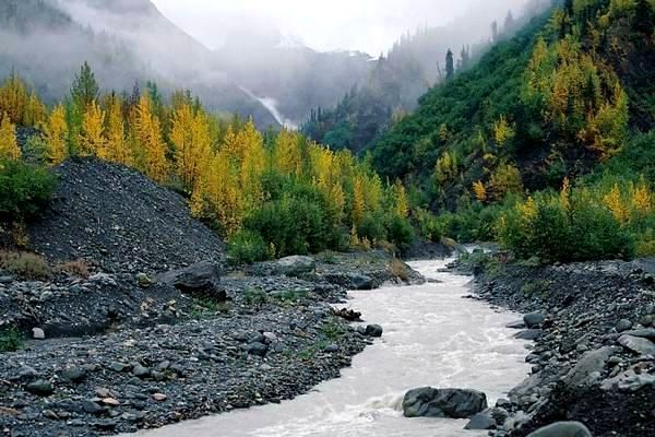 网络游戏科普:2025年最受欢迎的游戏排行榜分析