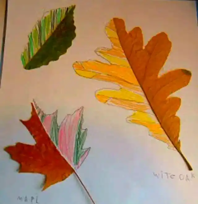 小学生儿童画画游戏_儿童绘画发展阶段_创意绘画游戏方法