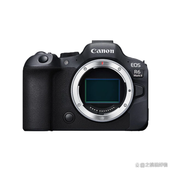 数码相机选购指南_佳能EOS R6 Mark II评测_数码摄像机像素