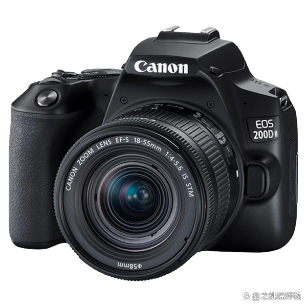 数码相机选购指南_佳能EOS R6 Mark II评测_数码摄像机像素