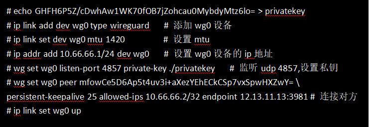 Wireguard VPN 介绍与使用_Wireguard VPN 工作原理_vpn教程