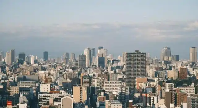 火爆现象_经济复苏 楼市火热 消费回暖