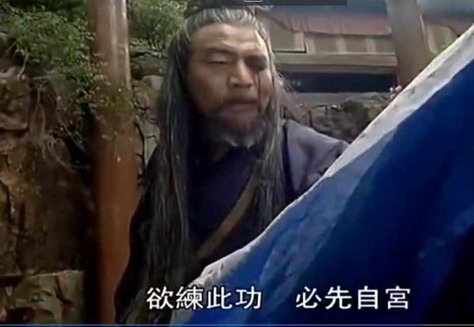 葵花宝典 欲练神功必先自宫 葵花宝典武功原理_笑傲江湖心法在哪?