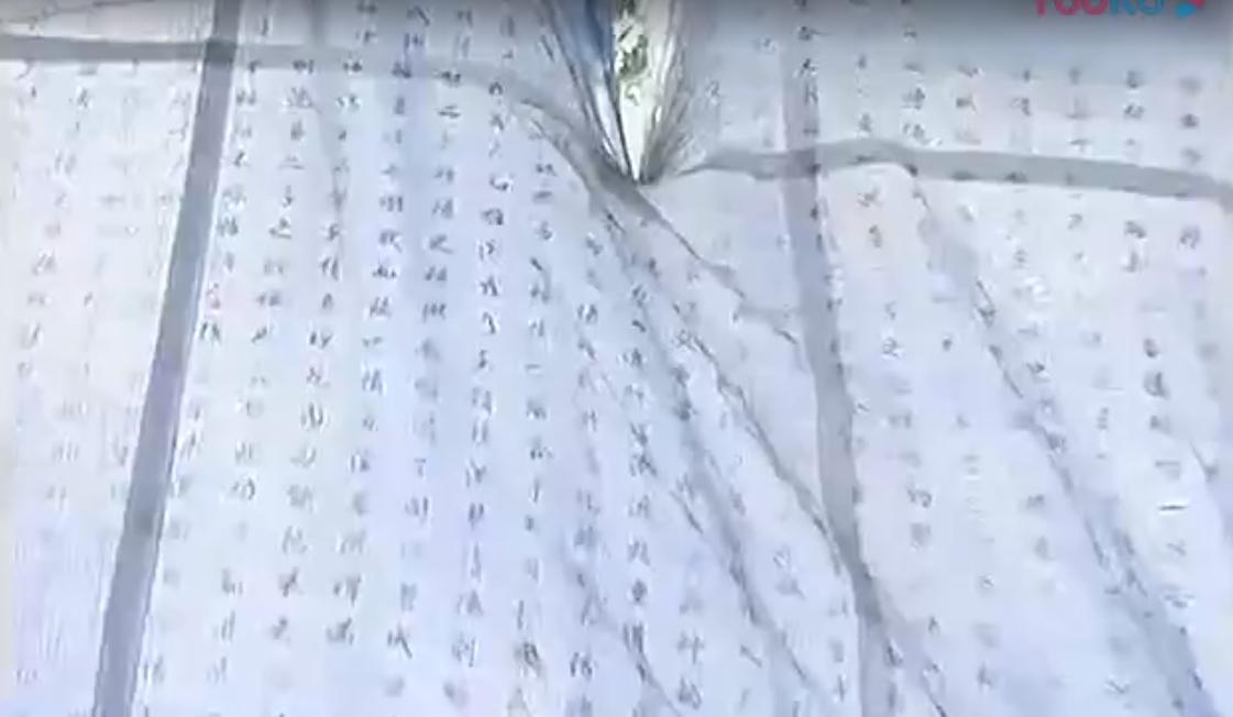 葵花宝典 欲练神功必先自宫 葵花宝典武功原理_笑傲江湖心法在哪?