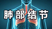 《无主之地4》首发无Switch 2 单人内容可离线游玩