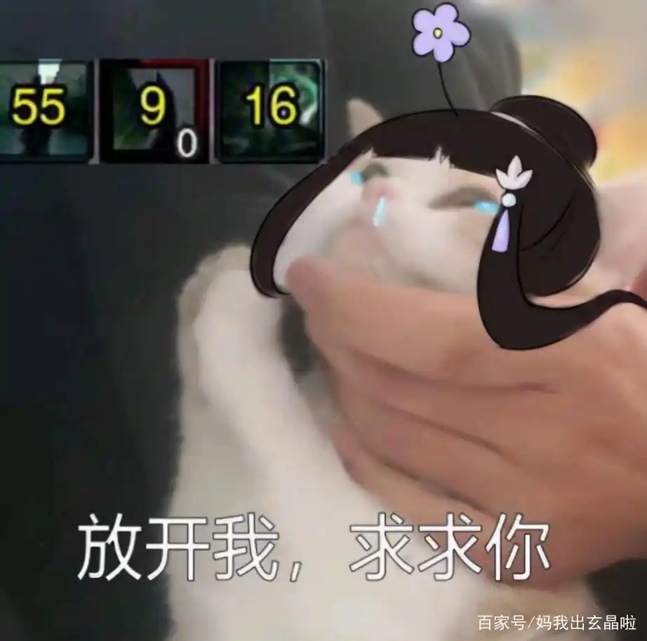 剑网三竞技场职业_MMORPG竞技场设计_剑网三竞技场玩法变迁