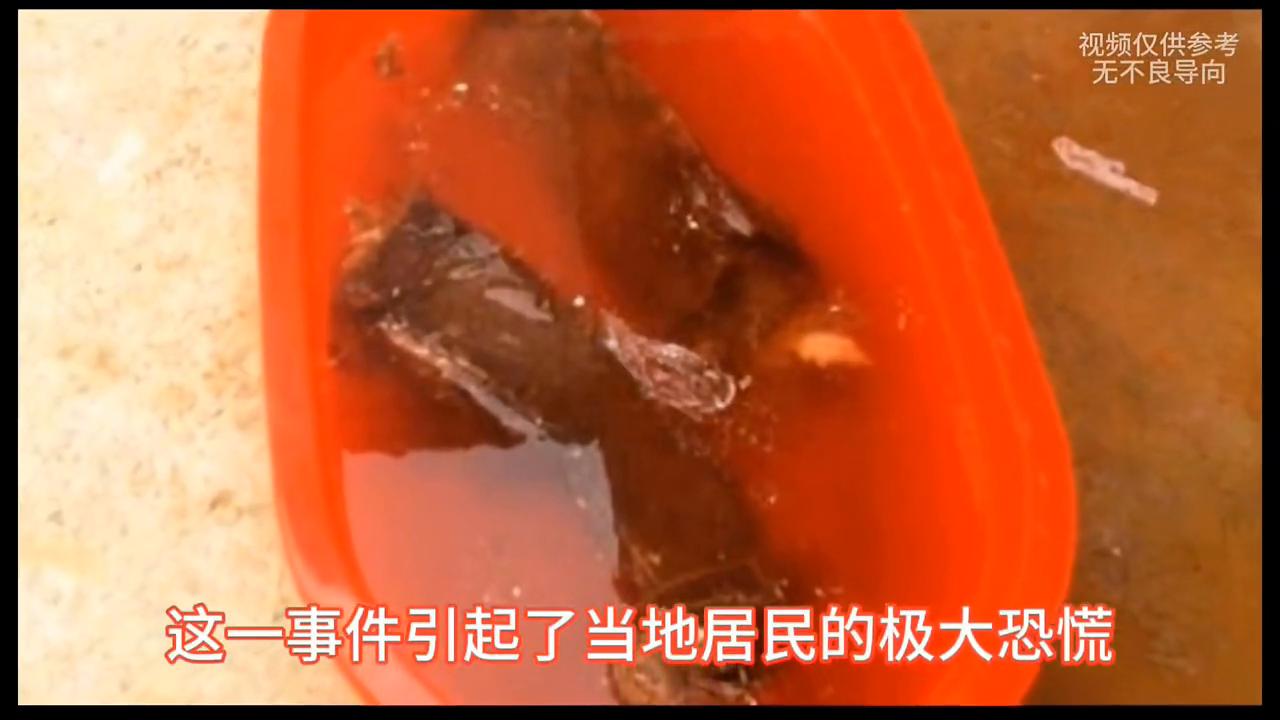 中国僵尸现象历史传说_世界未解之谜僵尸真的存在吗_现实中会不会有丧尸