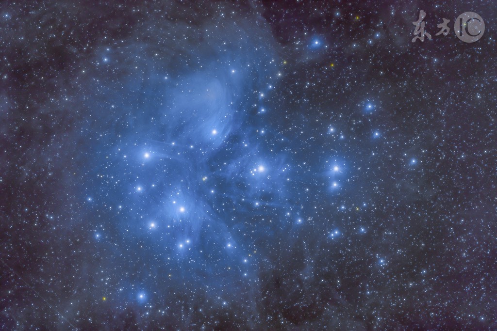 现实中会不会有丧尸_末世怪物变人类 现实梦境冲击 接受残酷真相