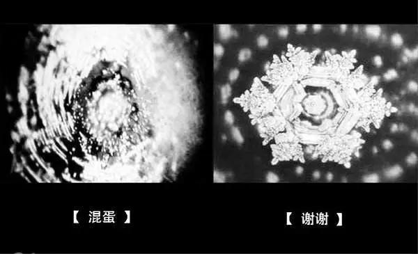 《水知道答案》：对水说些好话，体验它带给你的强大疗愈力