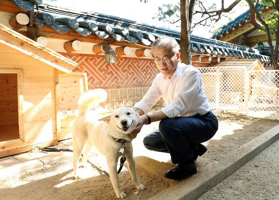 金正恩赠送韩国一对朝鲜丰山犬，文在寅开心抚摸
