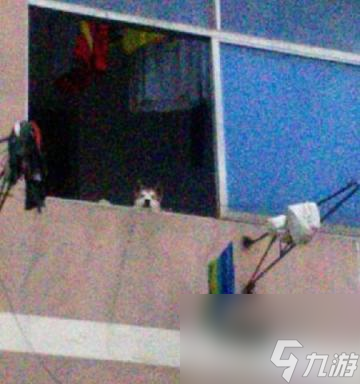 穿越火线新版追房技巧是什么？追房成功后如何继续游戏？