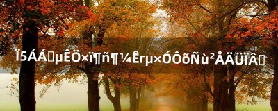 侠盗猎车手罪恶都市车子怎样才能下水(侠盗飞车怎么让车下水)