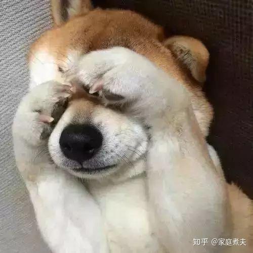 冰箱推荐 | 冰箱怎么选？| 2025年冰箱选购避坑指南