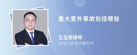 家庭遭受重大意外事件包括