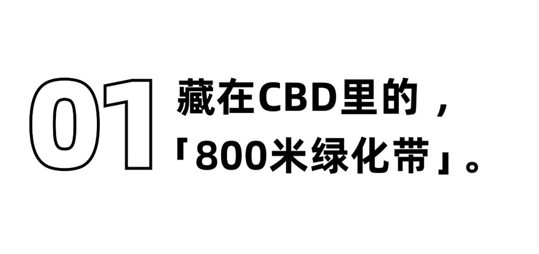 华强北，不止是电子产品的天堂