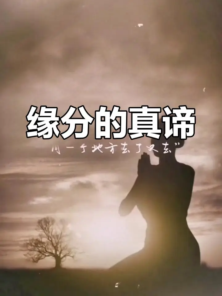 缘分到底是什么东西？