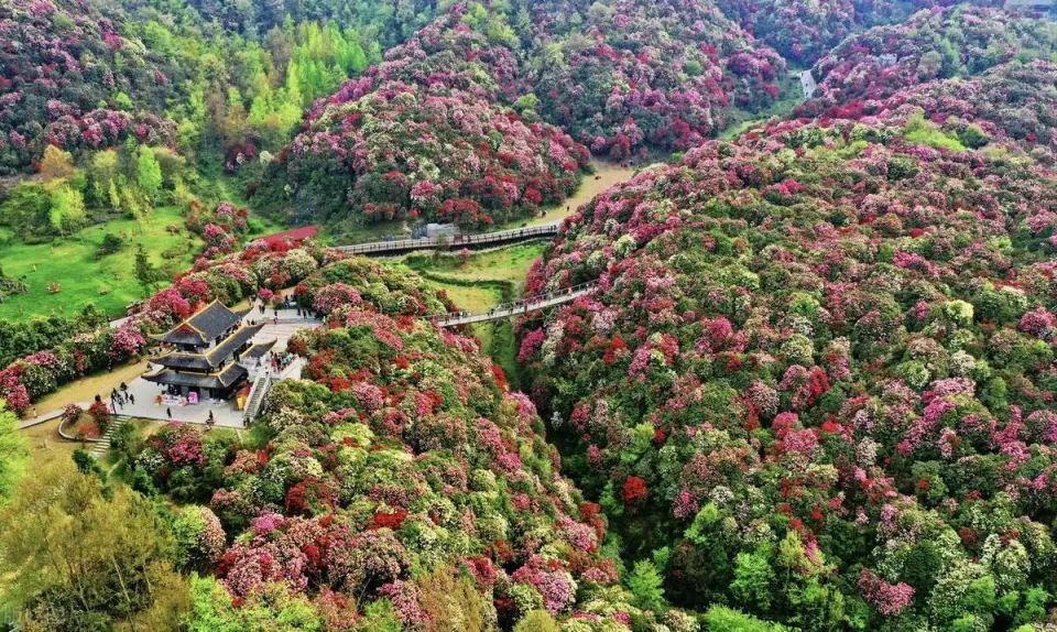 贵州旅游必去的15个景区，去过一半已经此生无憾，你去过了几个