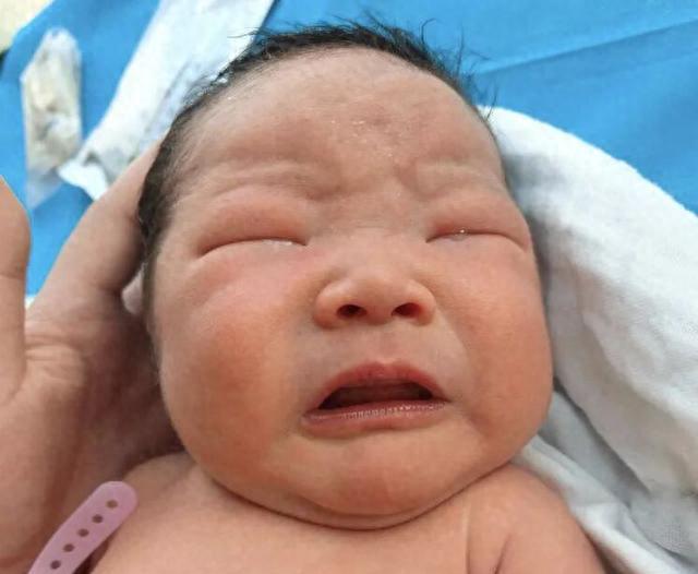 婴儿这些表现，大概率智力很高，尤其是最后2个