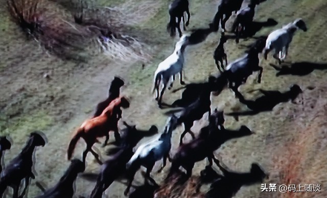 倚天屠龙记兵器_金庸神兵兵器合集_笑傲江湖门派装备