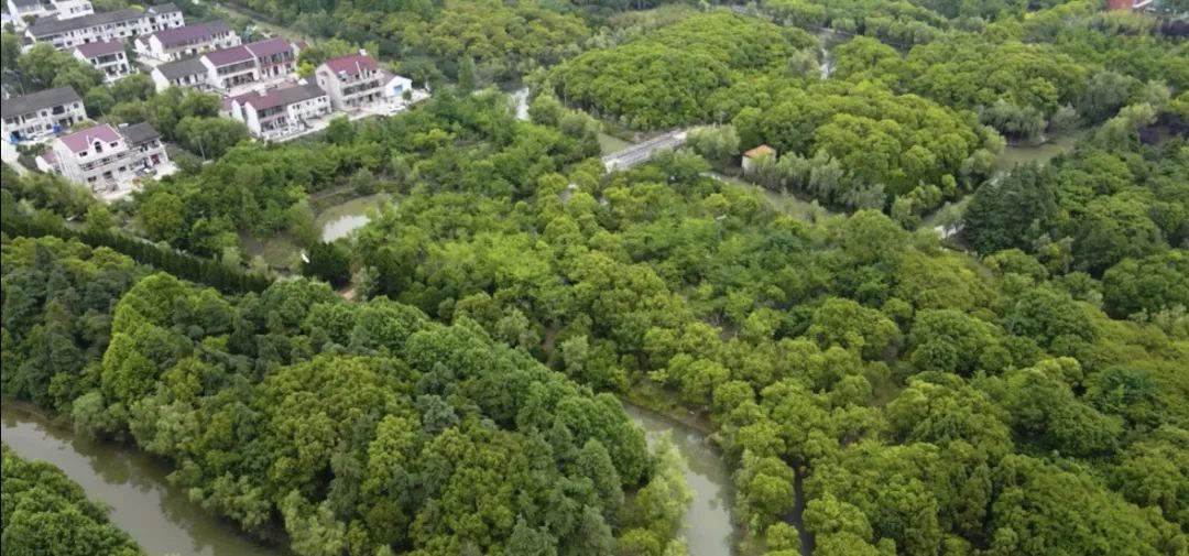 金汇路附近买游戏机的店_金汇镇区位优势_金汇镇生态环境