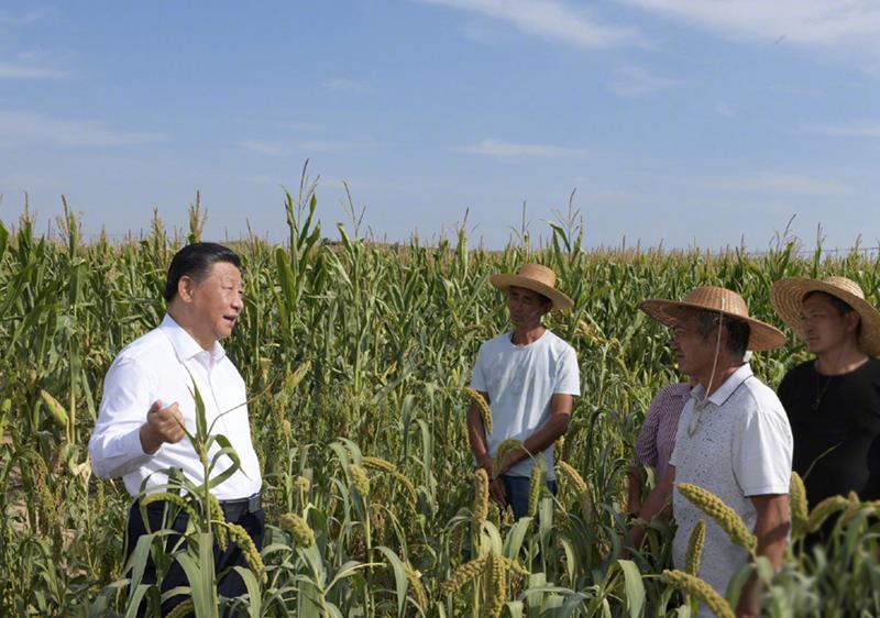 时政微观察丨常态化精准帮扶，这个新部署意义深远