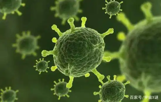 会丧尸现实有中国人吗_现实中会不会有丧尸_丧尸现实中可能吗