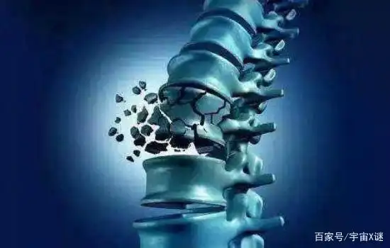 会丧尸现实有中国人吗_丧尸现实中可能吗_现实中会不会有丧尸